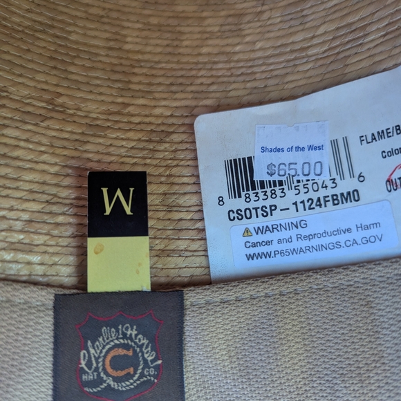 Charlie 1 Horse Outlaw Spirit Top Hat - Picture 6 of 7